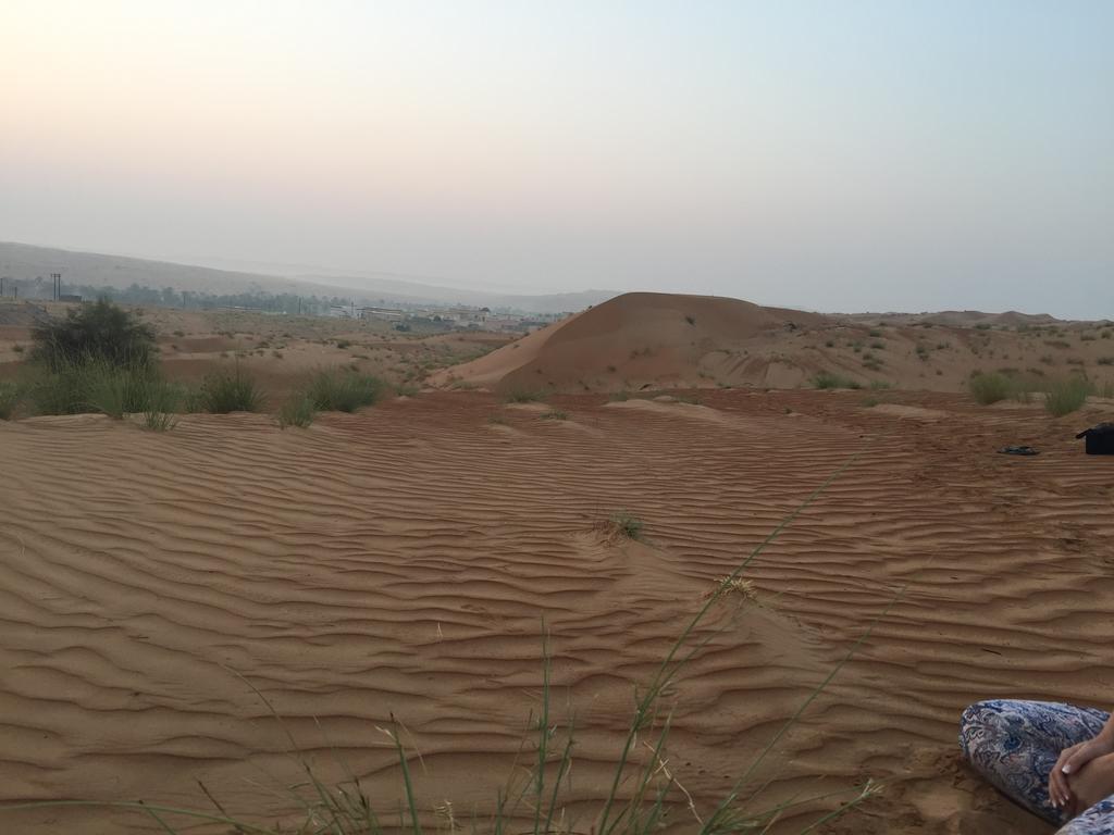 Oriental Nights Al Wasil