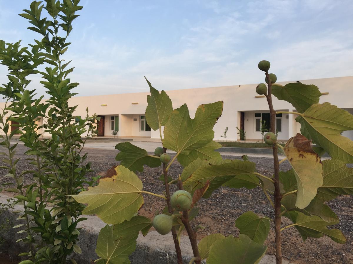 Guest house Oriental Nights 2*